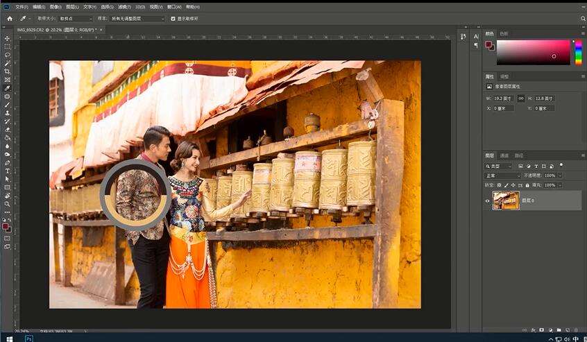Photoshop 2020 菜鸟学习教程全套