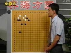 围棋实战攻防全5集围棋实战与攻防技法大全围棋实战常形攻防