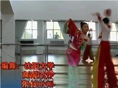 广场舞之《东北秧歌》全套教学视频课程（30集）