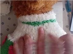 手工编织狗狗毛衣精品款式视频教学狗狗毛衣裙的最新编织法